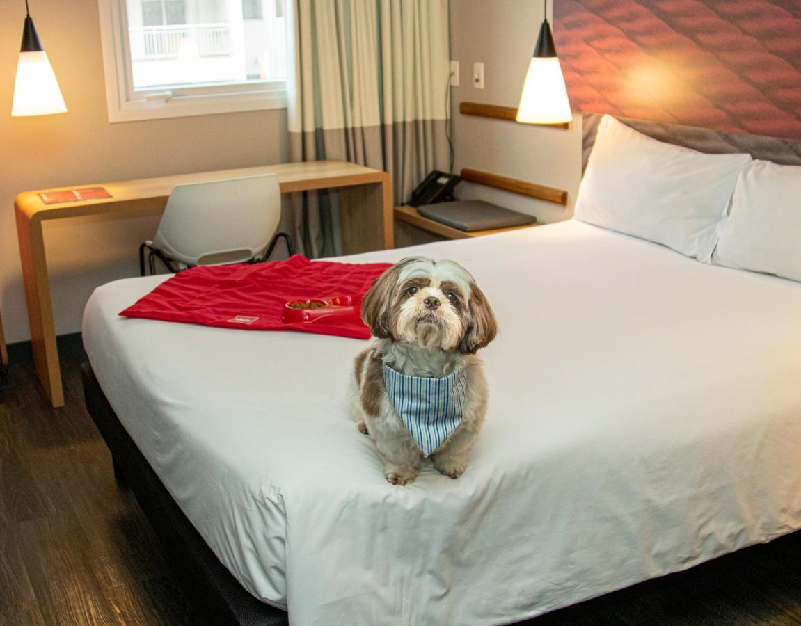 Ibis Sao Paulo Tatuape Hotel Luaran gambar