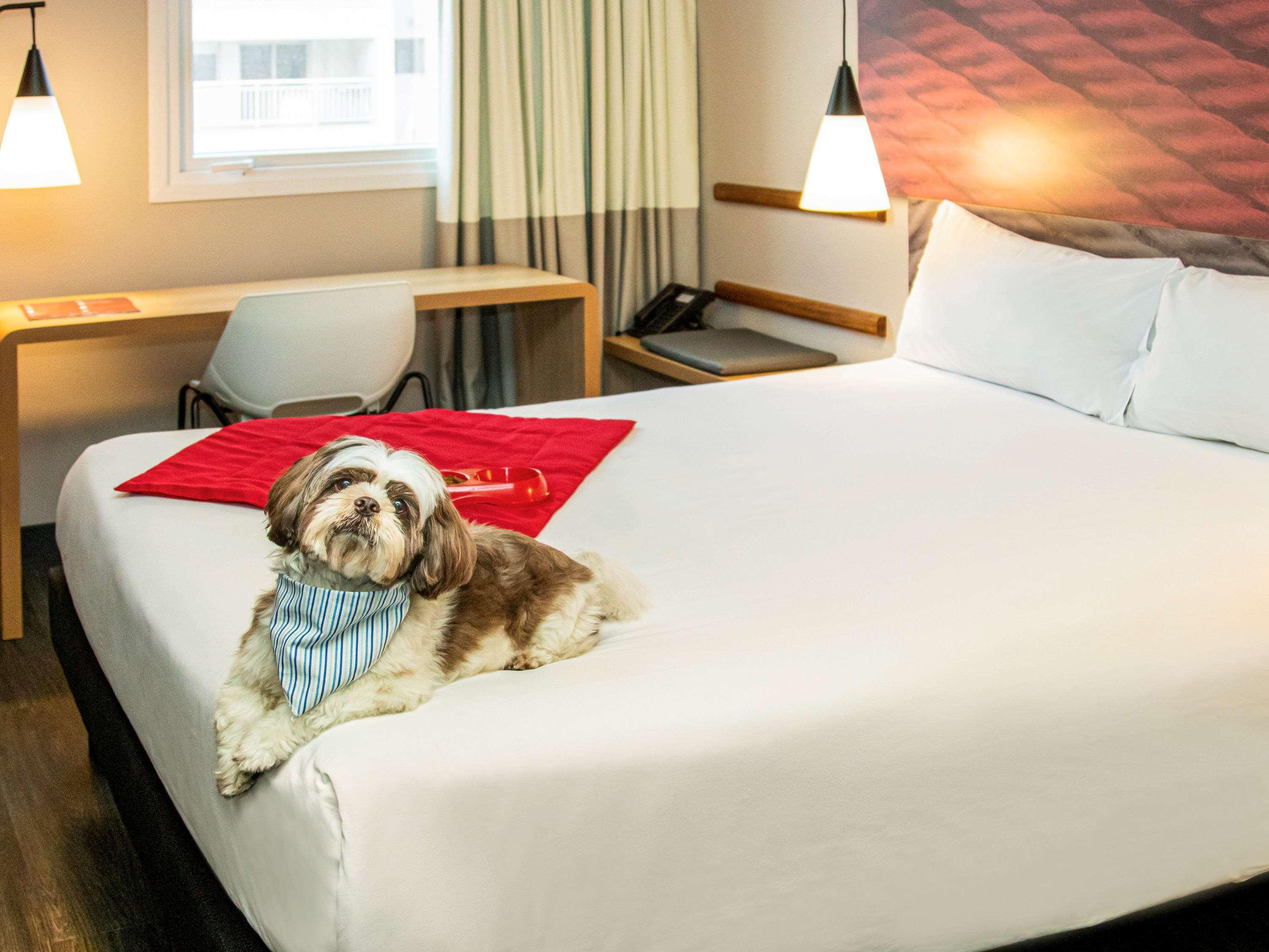 Ibis Sao Paulo Tatuape Hotel Luaran gambar